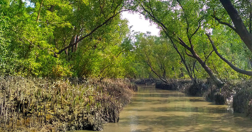 nijhum-dwip-hatia-02
